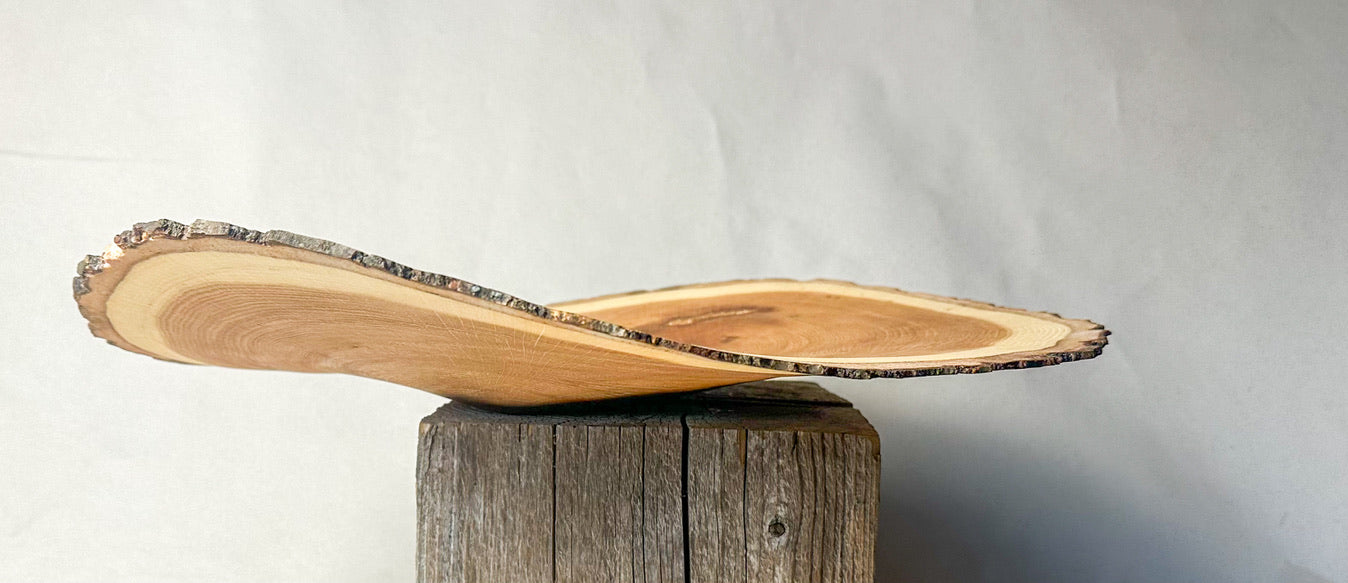 Red Oak live edge disc